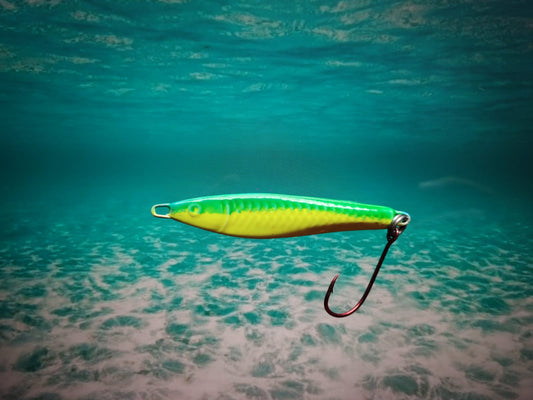 Green Yellow Kingfish Series