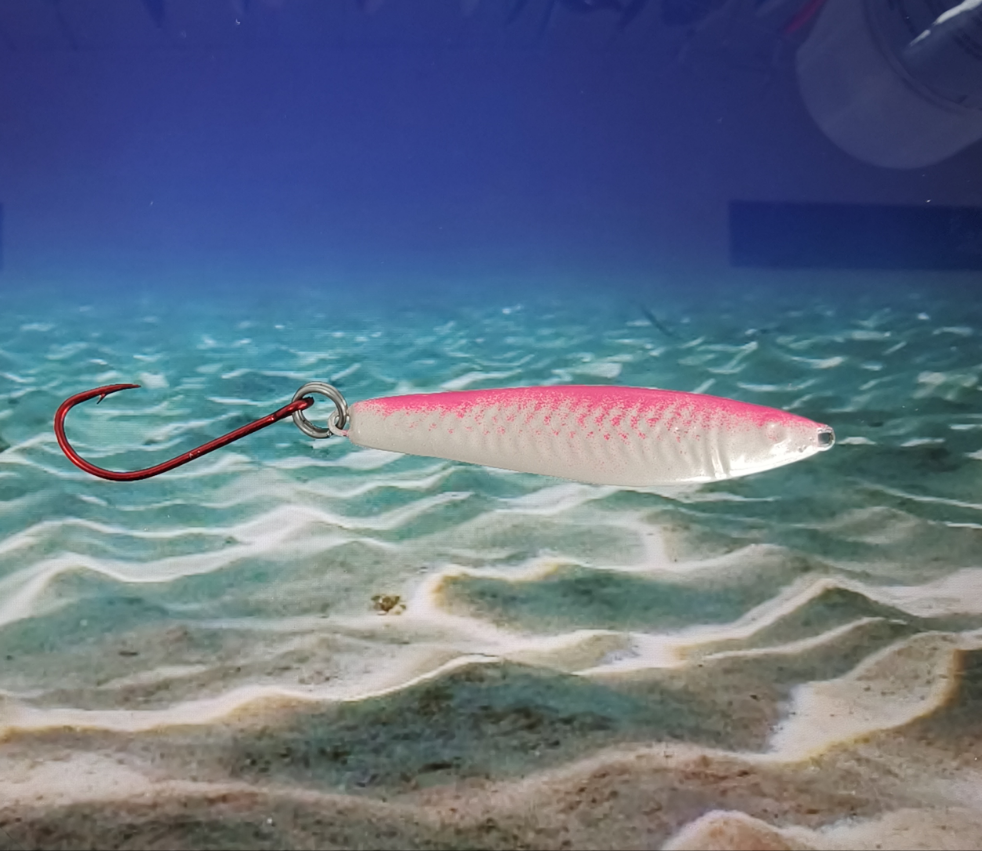 Pink White Kingfish Series
