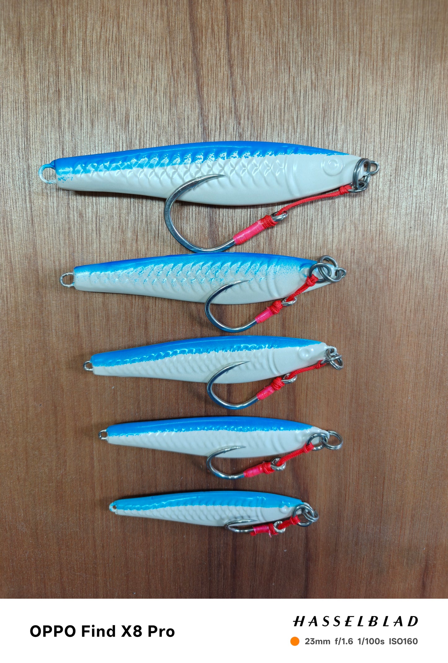 Blue White Kingfish Series