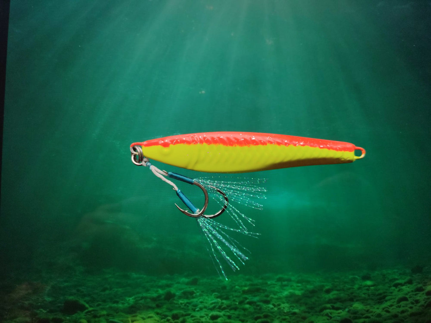 Yellow Orange Snapper Series