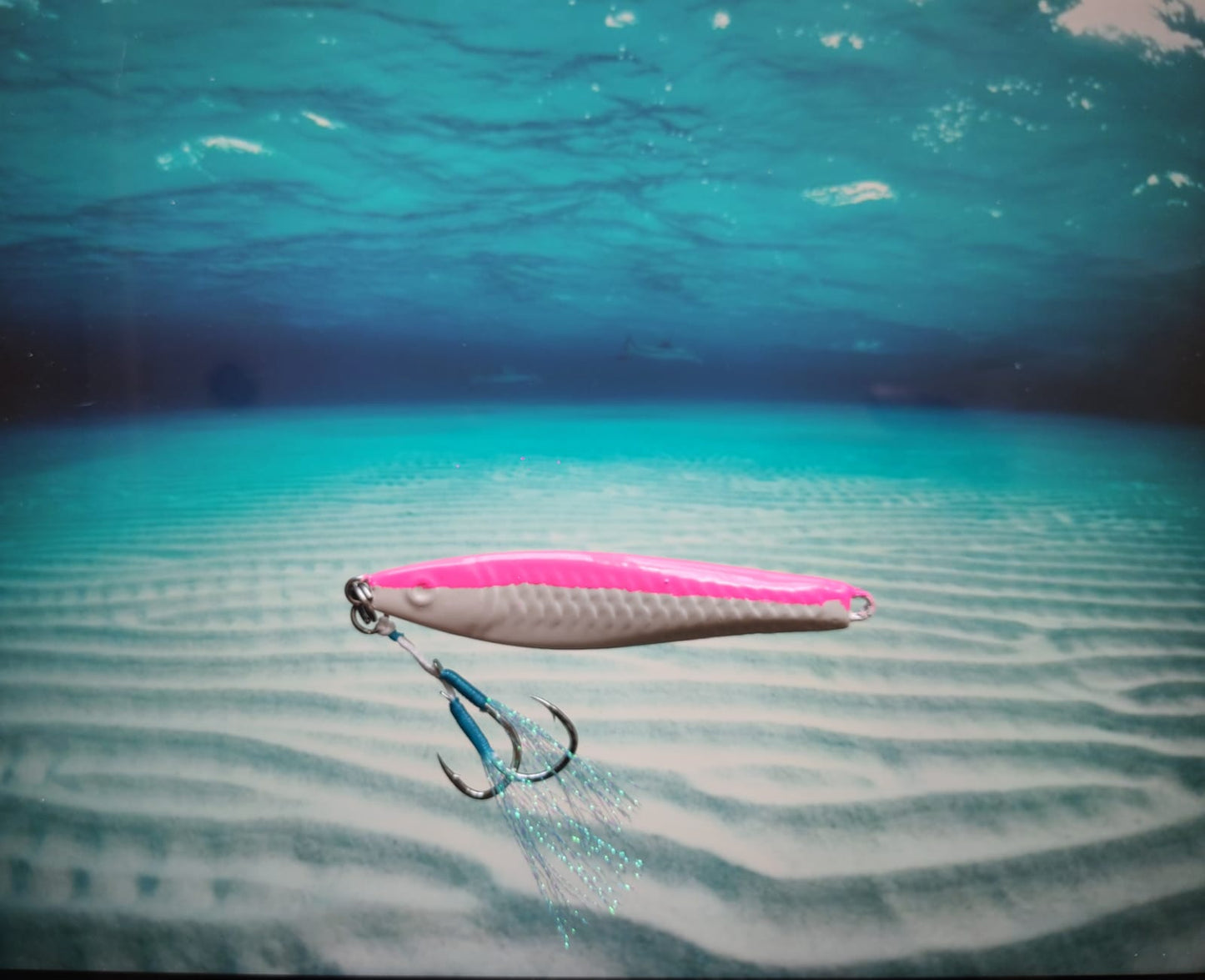 Pink White Snapper Series