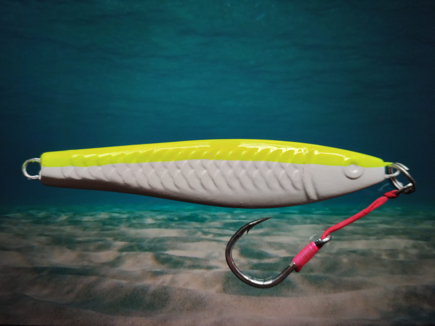 Yellow White Kingfish Series